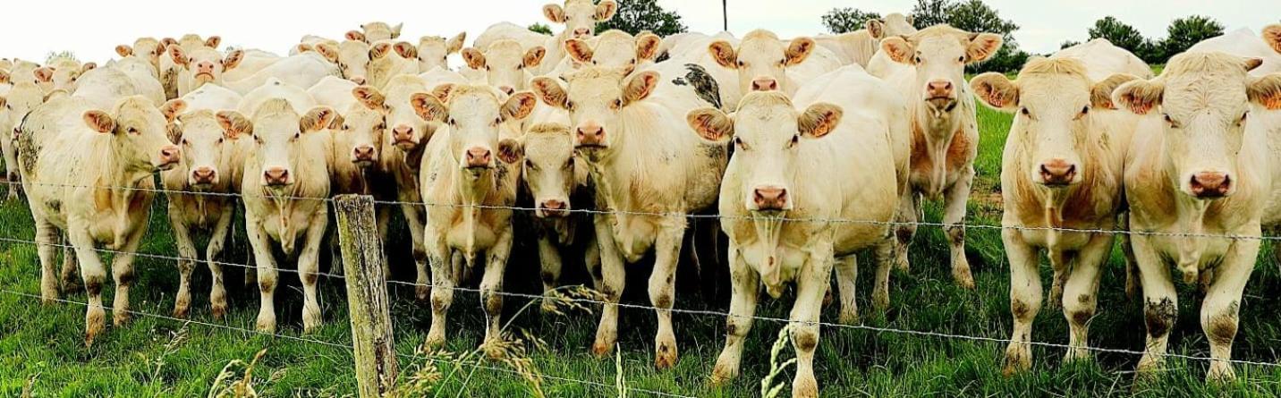 La Vache Tennis Prive Crux-la-Ville Zewnętrze zdjęcie